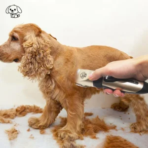 Hair Cutting