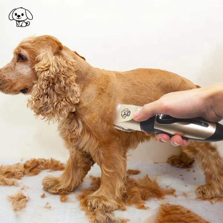 Hair Cutting