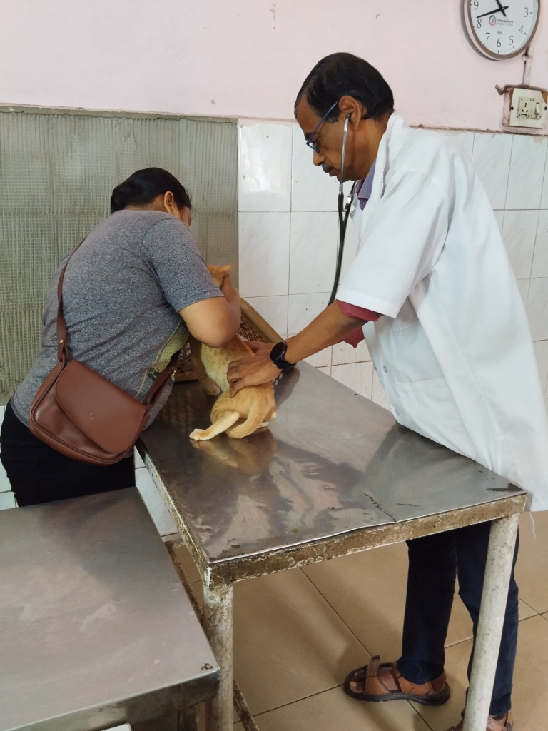 Heart Examination