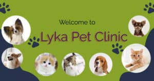 Lyka Pet clinic