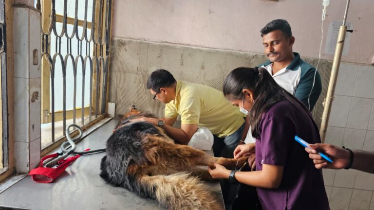 Intravenous Administration