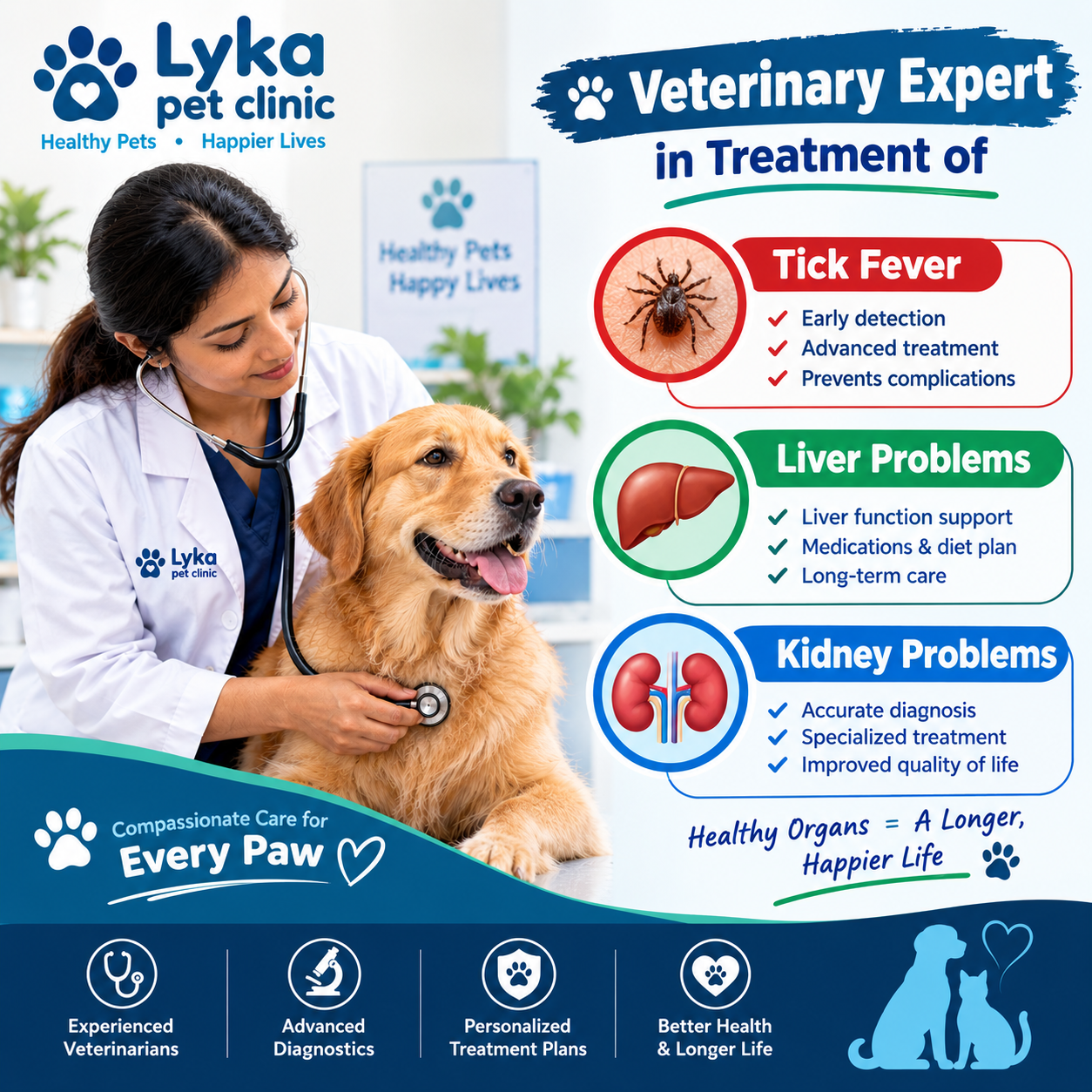 liver, kidney disease expert